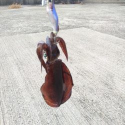 台風後の輪島マリンタウン