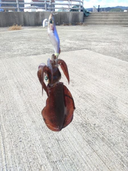 台風後の輪島マリンタウン