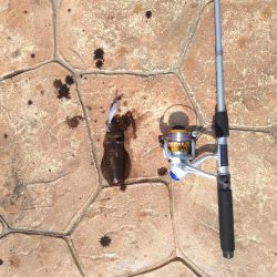 輪島マリンタウン