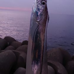 淡路の夜明けにサーべリング〜牙狩り師