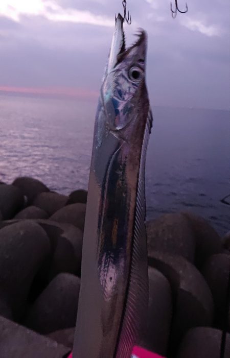淡路の夜明けにサーべリング〜牙狩り師