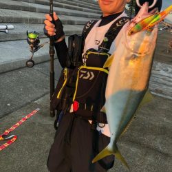 神戸空港でタチウオとツバス