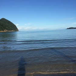 猛暑のキス釣り