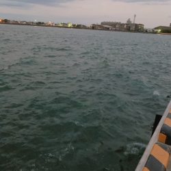 トゥーフィンガーは勿論リリース