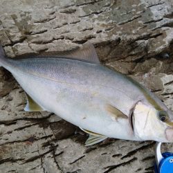 上向きになってきた。