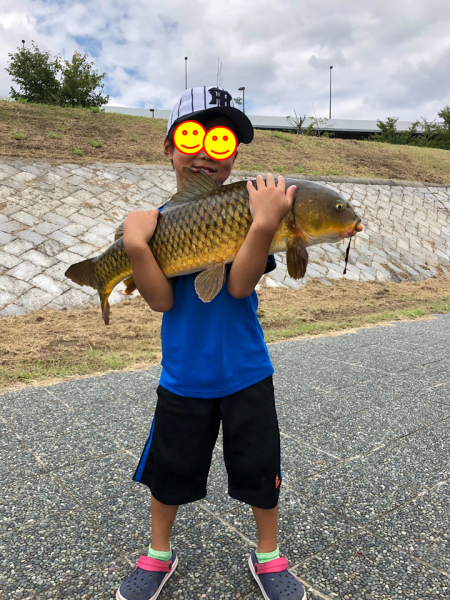 小学1年生８０ｃｍオーバーの真鯉をゲット