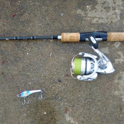 太刀魚のつもりが