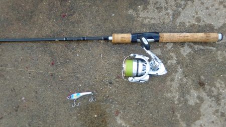 太刀魚のつもりが