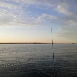 先輩が大物を！！