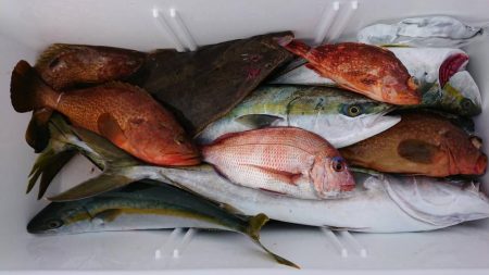 ジギングシーズン始まるよー