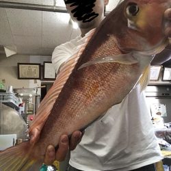 おニューリールの鱗付けが…