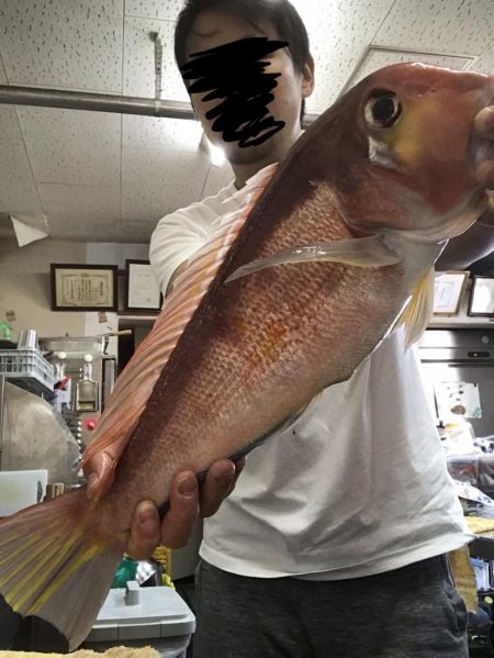 おニューリールの鱗付けが…