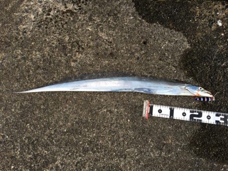 ビギナーズラック発動