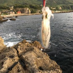 今日も仕事帰りに