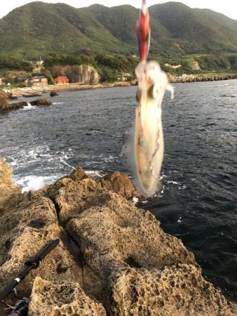 今日も仕事帰りに