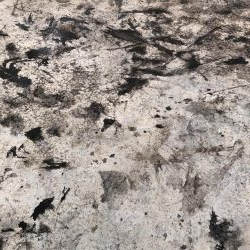 今シーズン2回目のエギング