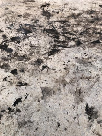 今シーズン2回目のエギング