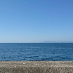 やっぱりツバス