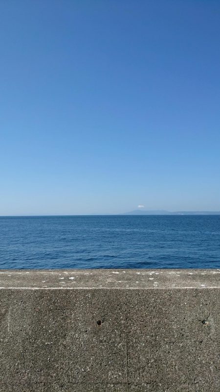 やっぱりツバス