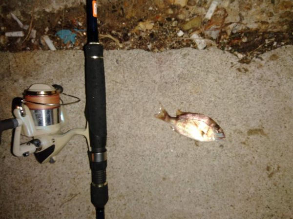 ブラクリ釣り（エギング）