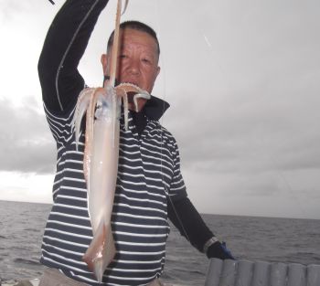 スルメイカ釣り