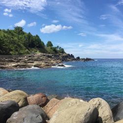 秋イカ地磯釣行