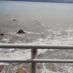 3連休後 墨跡、激増