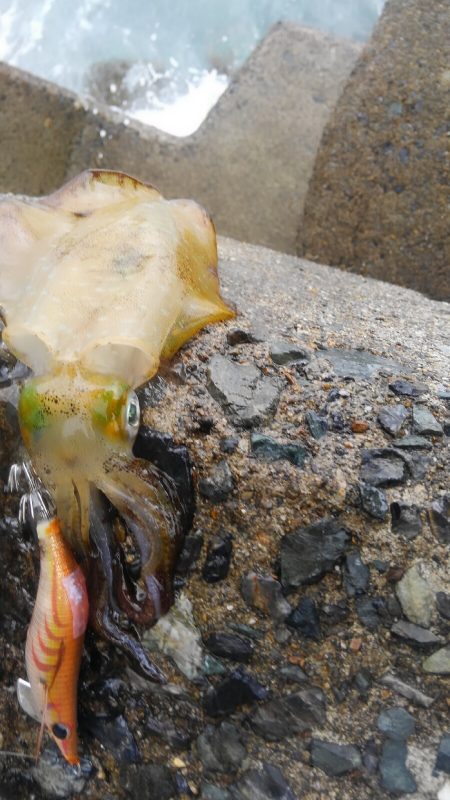 やっと、100g アップしたのに？