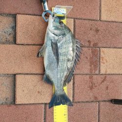 場所移動成功！！