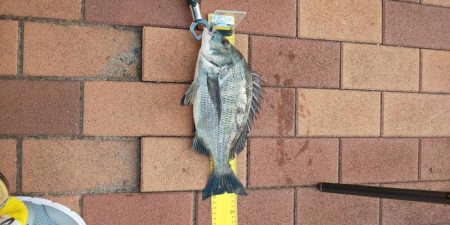 場所移動成功！！