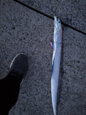 スーパーライトショアジギングで！