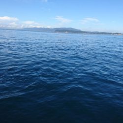 またまたウマズラ