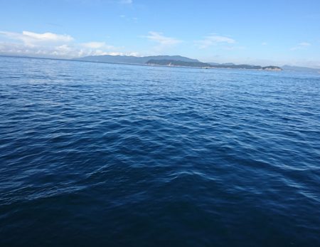 またまたウマズラ