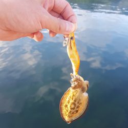 秋イカエギング調査