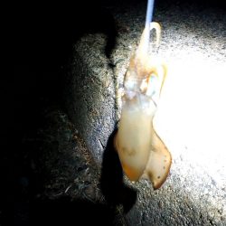 誰もいない場所