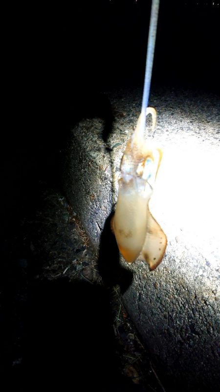 誰もいない場所