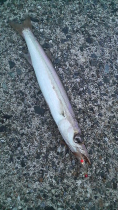 風にも負けず！