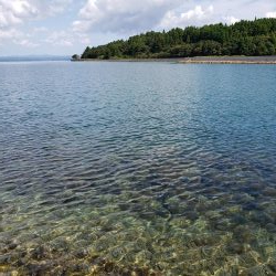 SUPフィッシング