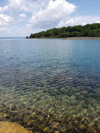 SUPフィッシング