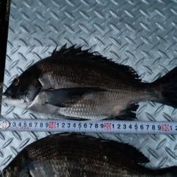 大潮の夕マヅメはアツイ❗