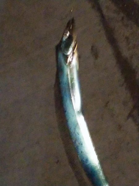 食い逃げダッシュ