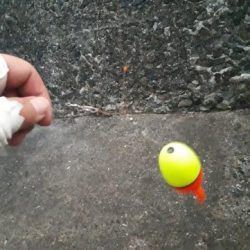 海釣り！途中から雨に打たれて。。。。