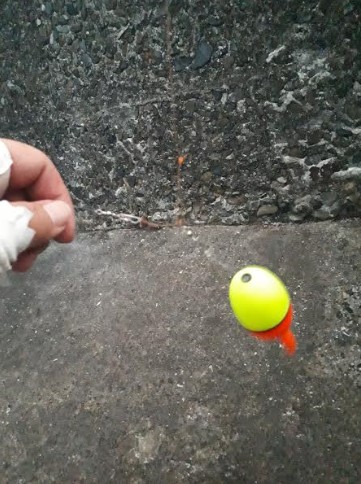 海釣り！途中から雨に打たれて。。。。