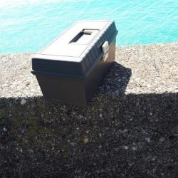 65オーバーのスズキ!!!!!やった~~~~~!!!!!!!