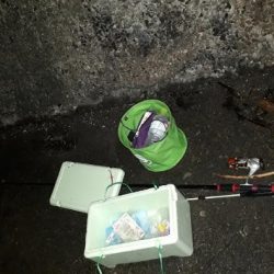 夜釣りでアジ!!!