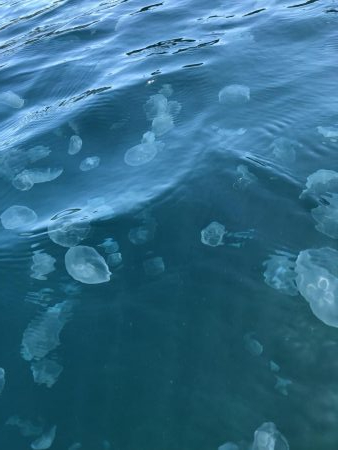 数はでませんでしたが良型揃い