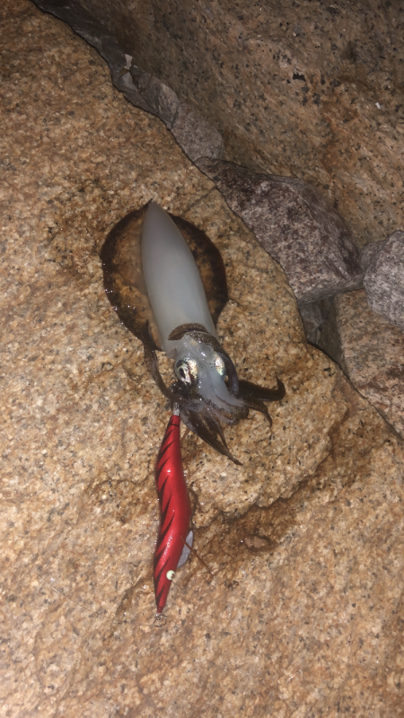 スラックジャークキャプテン