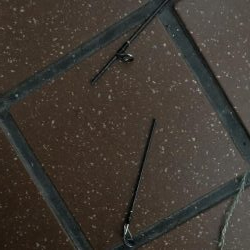 タチウオ調査3回目