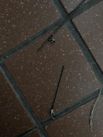 タチウオ調査3回目