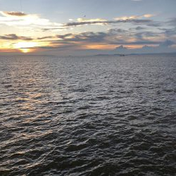 ツバスしかおらん